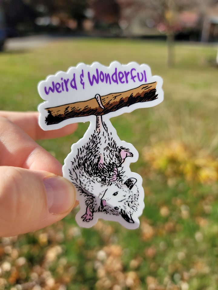 Weird and Wonderful Possum Sticker